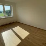 Rent 3 bedroom apartment of 97 m² in Pelhřimov