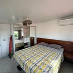 Rent 2 bedroom apartment of 35 m² in CAYENNE