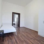 Rent 1 bedroom apartment in Brno