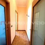 Rent 2 bedroom apartment of 60 m² in Foggia