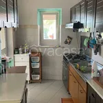 Rent 3 bedroom apartment of 78 m² in Roma