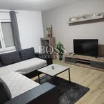 Rent 2 bedroom apartment of 53 m² in Grad Rijeka