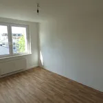 Rent 2 bedroom apartment of 50 m² in Großschirma