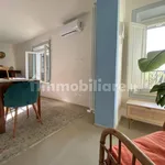 2-room flat Lungarno Trento e Trieste 21, Limite, Capraia e Limite