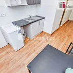 Rent 1 bedroom apartment in Prague