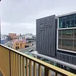 Rent 1 bedroom apartment in Auckland