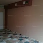 Rent 1 bedroom apartment of 25 m² in Pécs