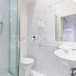 Rent 3 bedroom apartment of 100 m² in Roma