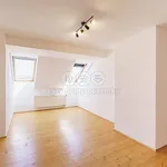 Rent 3 bedroom apartment of 130 m² in Františkovy Lázně