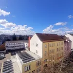 Rent 1 bedroom apartment in Plzeň