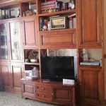 Rent 4 bedroom apartment of 120 m² in Ragusa