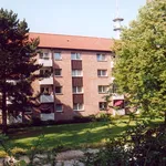 Rent 3 bedroom apartment of 59 m² in Detmold