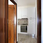 Rent 2 bedroom apartment of 55 m² in Baveno