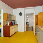 Rent 3 bedroom apartment of 100 m² in Prague