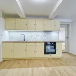 Rent 3 bedroom apartment of 63 m² in Plzeň