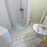 Rent 1 bedroom apartment in Praha - východ