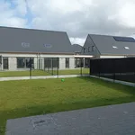 Rent 4 bedroom house in Hooglede