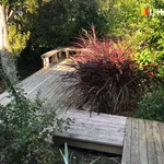 Rent 1 bedroom apartment in Dunedin