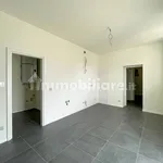 Rent 3 bedroom apartment of 100 m² in Novara