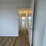 Rent 3 bedroom apartment of 123 m² in Eindhoven