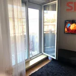 Rent 2 bedroom apartment of 46 m² in Prague