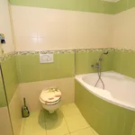 Rent 1 bedroom apartment of 42 m² in Pardubice