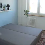 Rent 1 bedroom apartment of 48 m² in Brno