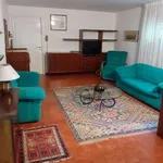 Rent 2 bedroom apartment of 80 m² in Verona