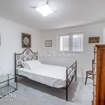 Rent 4 bedroom apartment of 80 m² in Pisa