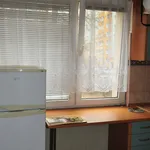 Rent 2 bedroom apartment of 47 m² in Łódź