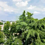 Rent 3 bedroom apartment of 103 m² in Segrate