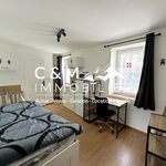 Appartement de 18 m² avec 1 chambre(s) en location à SAINT