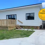 Rent 3 bedroom house in auckland