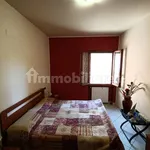 Rent 2 bedroom apartment of 40 m² in Asti