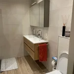 Huur 3 slaapkamer appartement van 110 m² in Amsterdam