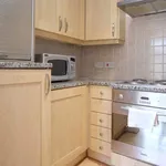 Rent 1 bedroom apartment in London