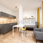 Rent 1 bedroom apartment of 35 m² in Brno