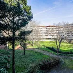 Rent 5 bedroom apartment in Porto