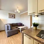 Rent 2 bedroom apartment of 46 m² in Katowice