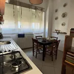 Rent 2 bedroom apartment of 85 m² in Roma