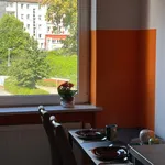 Rent 1 bedroom apartment of 58 m² in Wuppertal