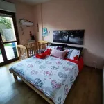 Rent 2 bedroom apartment of 55 m² in Rome