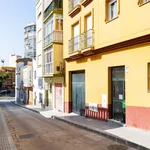 Rent 1 bedroom apartment of 35 m² in Málaga