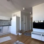 Rent 1 bedroom apartment of 28 m² in Warszawa Śródmieście