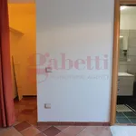 Rent 2 bedroom apartment of 50 m² in Pozzilli