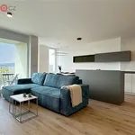 Rent 4 bedroom apartment of 118 m² in Brno-střed