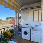 Rent 2 bedroom apartment of 40 m² in Cervia