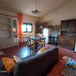 Rent 1 bedroom apartment of 30 m² in Rome