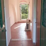 Rent 1 bedroom apartment of 40 m² in Napoli