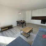 Rent 1 bedroom apartment in Humpolec